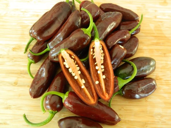 Ají jalapeño brown