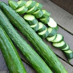 Pepino Japanesse Yard long