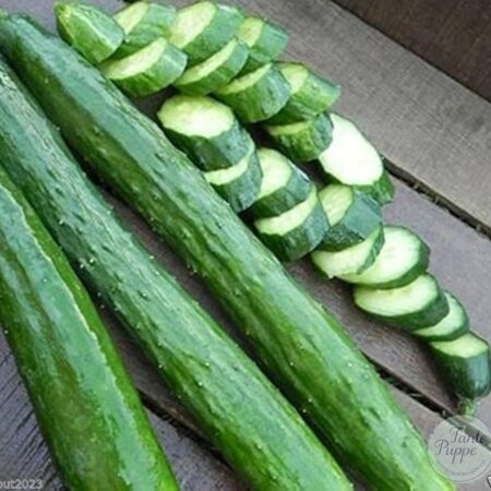 Pepino Japanesse Yard long