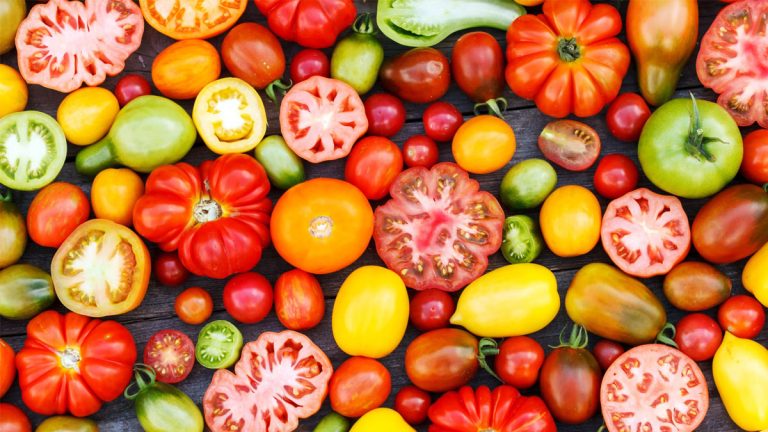 🍅 Cómo Cultivar Tomates en Casa Paso a Paso