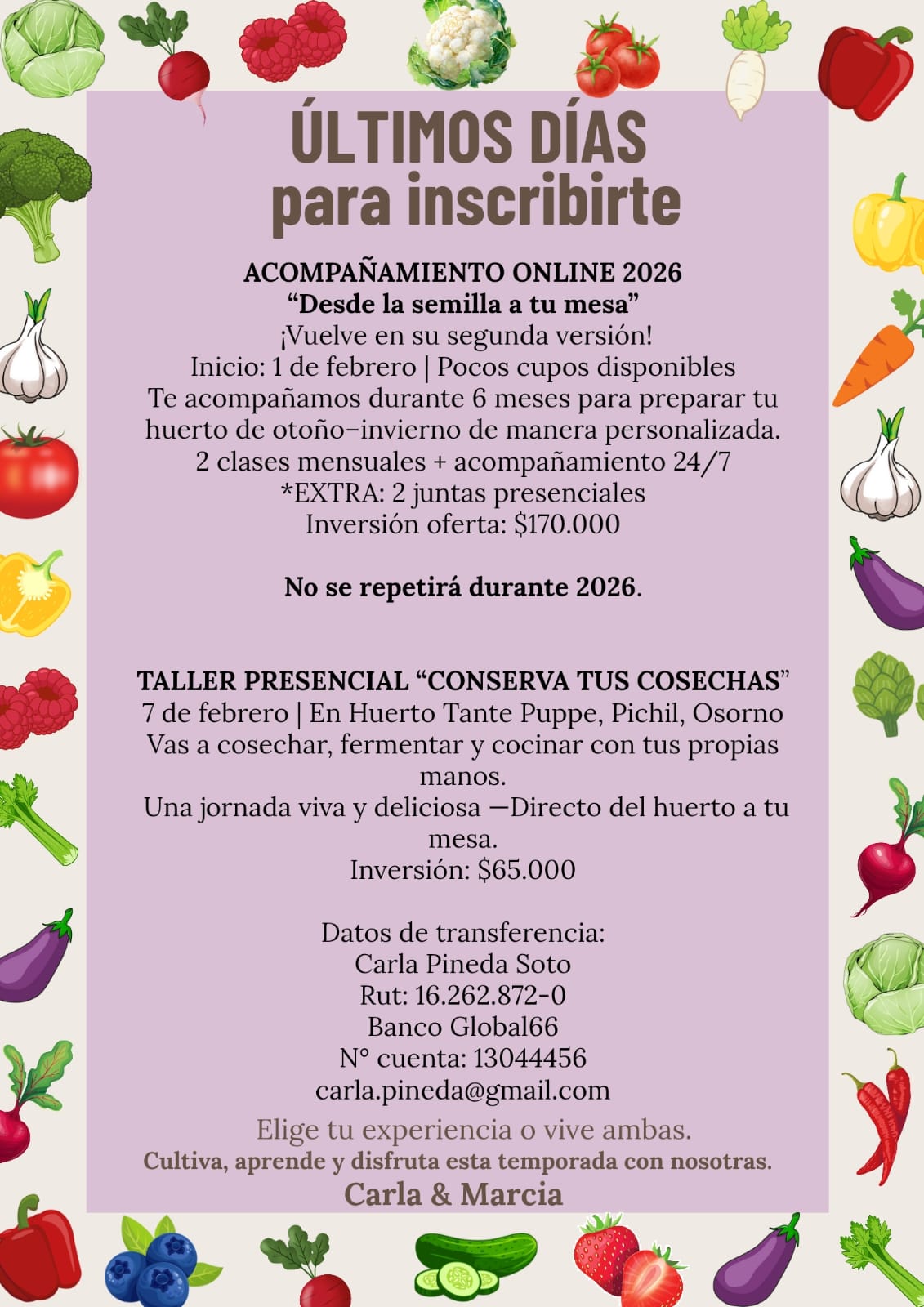 Taller Huerta