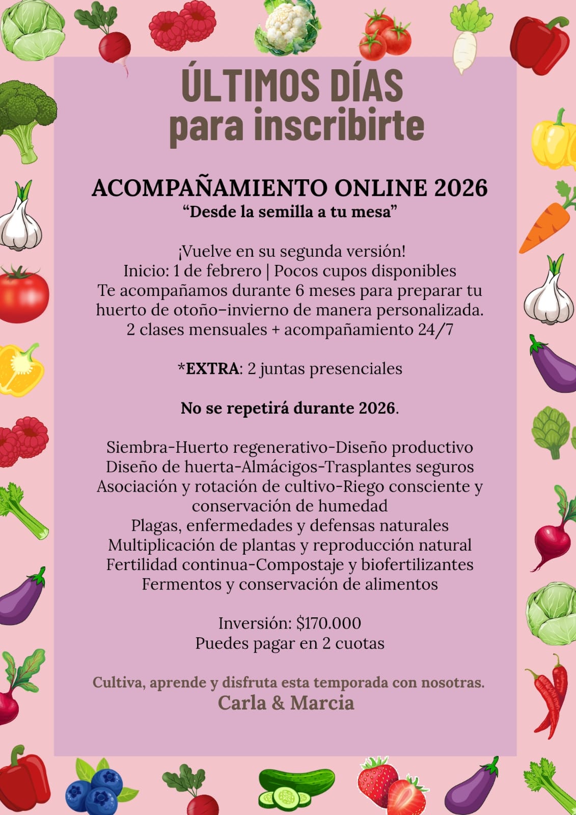 Taller Huerta 2026