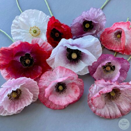 Amapola Mother of pearl