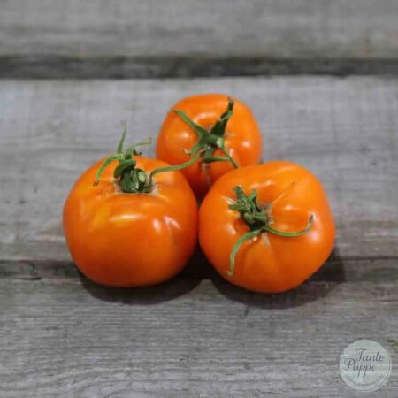 Tomate Valencia