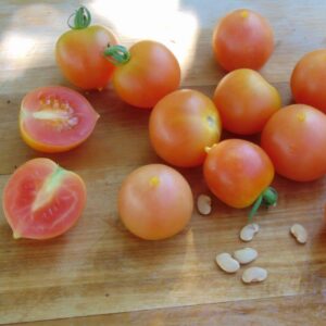 Tomate Gialletto Brindisino