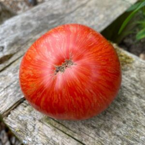 Tomate Dons's Double Delight