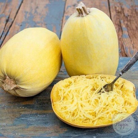 Zapallo Spaghetti