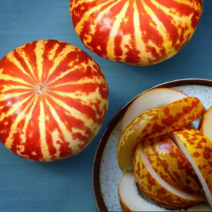 Semillas de Melón Tigre.jpg Semillas de Melón Tigre