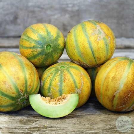 Melón Haogen