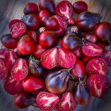 Frutos maduros de Tomate Blue Pear con forma de pera y hombros azules en huerto orgánico