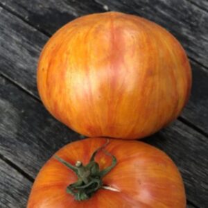 Frutos grandes en forma de corazón con rayas de colores de Tomate Fleur de Reagir Rainbow Jazz Heart