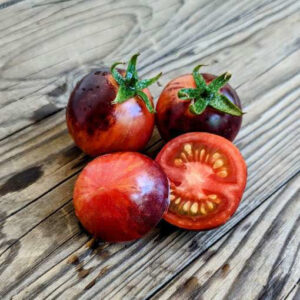 Racimos de Tomate Märchenglanz, cultivados de semillas orgánicas en Chile
