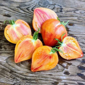 Frutos grandes acorazonados de Tomate Midnight Sun amarillos y rosados en huerto orgánico