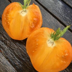Frutos grandes acorazonados de color naranja suave de Tomate Pastel Orange Heart cultivados orgánicamente en Chile
