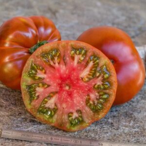 Frutos grandes de color chocolate oscuro de la planta de tomate Tasmanian Chocolate Dwarf cultivados de semillas orgánicas en Chile