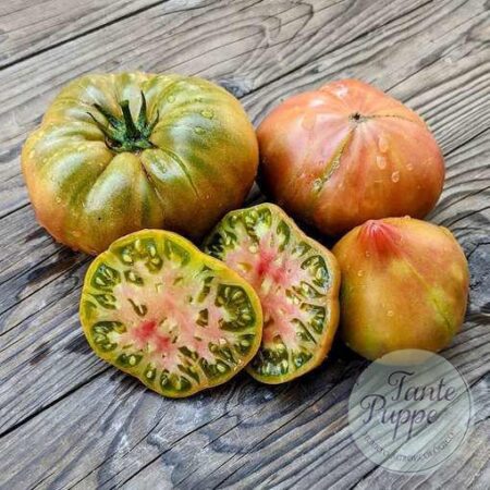 Corte transversal del Tomate True Colors mostrando su interior bicolor verde y rosado cultivado de semillas orgánicas en Chile