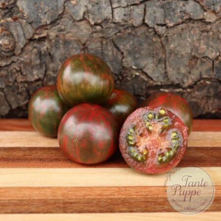 Frutos redondos color púrpura con rayas verdes del Tomate Violet Jasper cultivados de semillas orgánicas en Chile