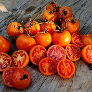 Corte transversal del Tomate Zlatava mostrando su piel naranja y pulpa roja interna cultivado de semillas orgánicas en Chile