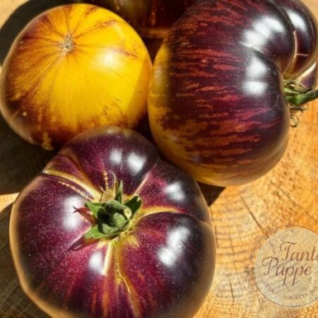 Frutos maduros de Tomate Eclipse Solar con tonos oscuros y dorados en huerto orgánic