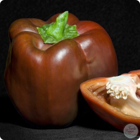 Pimiento sweet chocolate