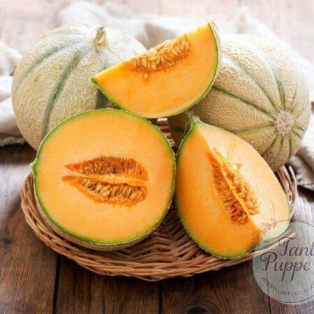 Melona