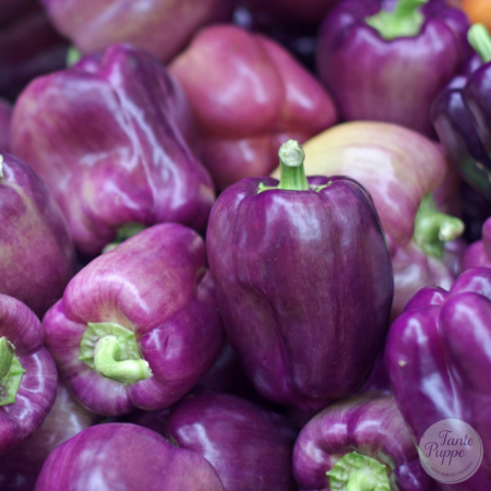 Pimiento Lilac Bell