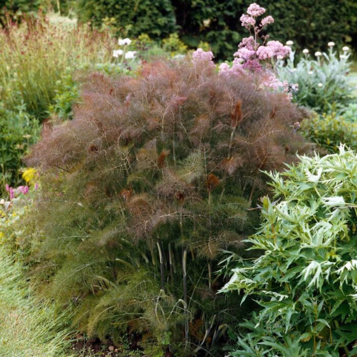 2026/04/1000346890.jpg 2026/04/1000346890.jpg