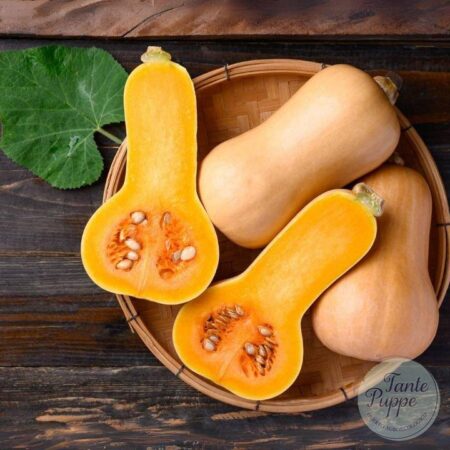 Zapallo Butternut