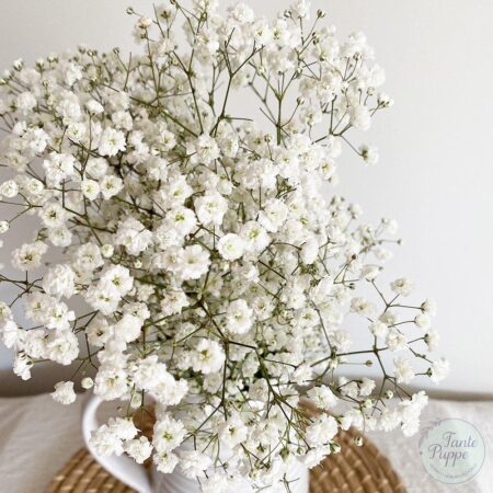 Semillas de Gipsofila Blanca Ilusión Blanca
