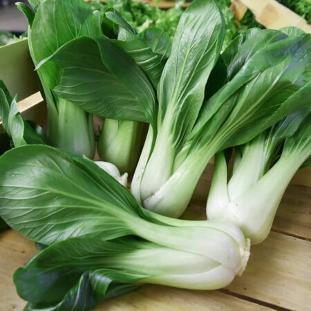 Pack choi - Col China